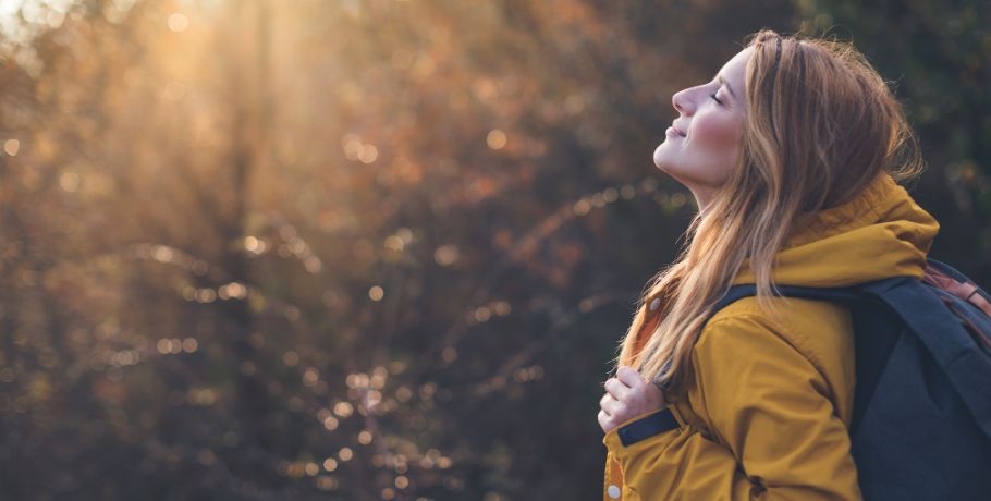 Wszystko o borze (Boron) Wszystko o borze (Boron)