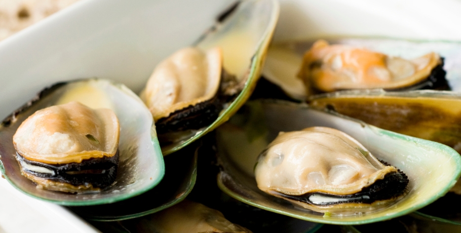 Wszystko o małżu zielonowargowym