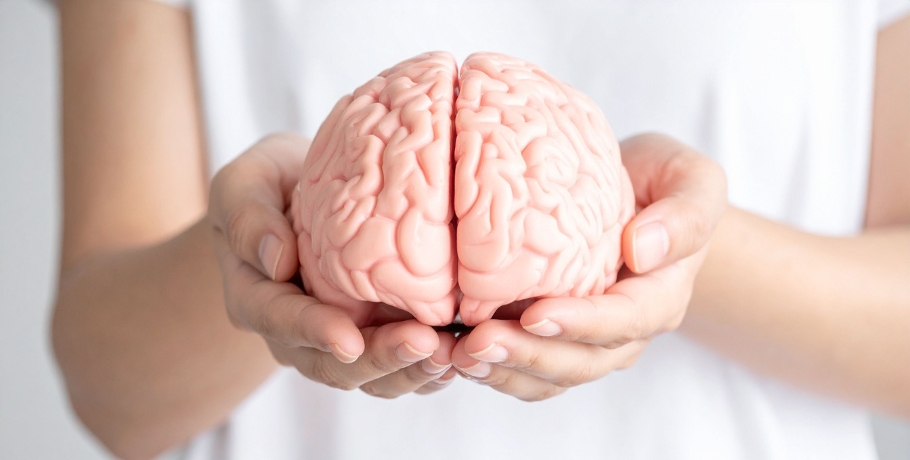 Niedobór składnika odżywczego, który może wpływać na mózg już u młodych dorosłych Niedobór składnika odżywczego, który może wpływać na mózg już u młodych dorosłych