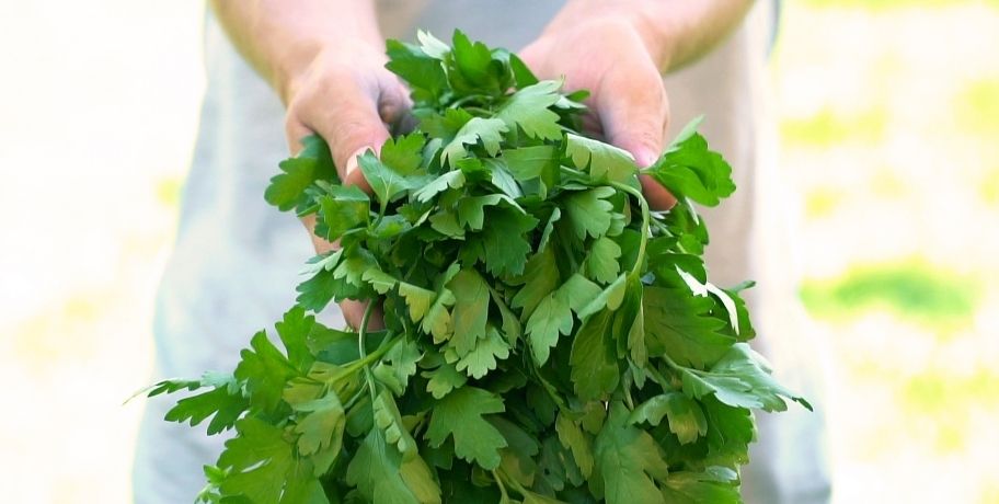 Żelazo, poziom żelaza, ferrytyna i hemoglobina – wszystko, co musisz wiedzieć