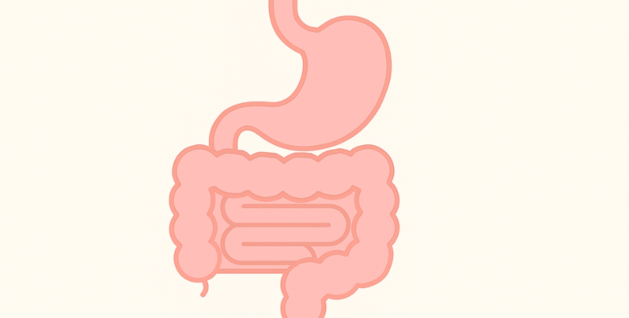 Wszystko o Bacillus coagulans