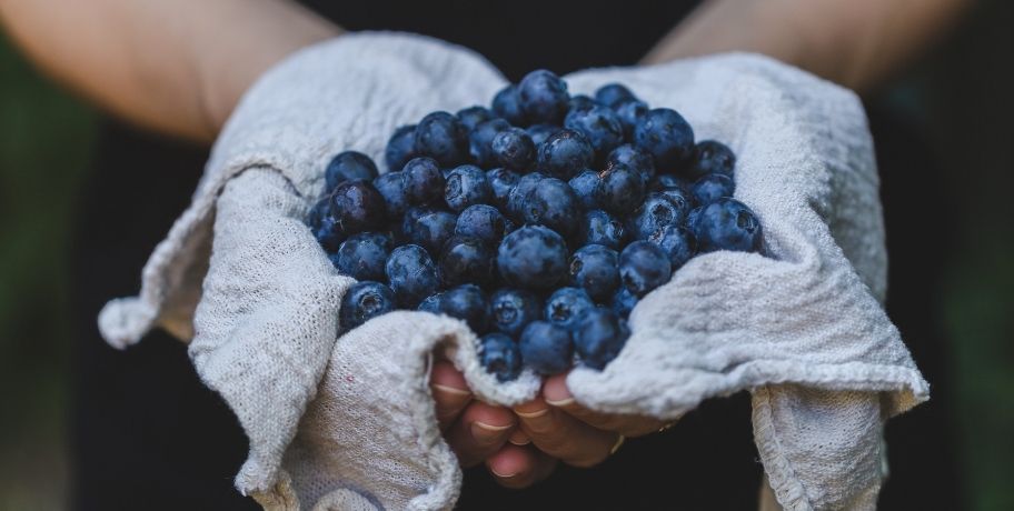 Czym są prebiotyki (błonnik prebiotyczny) i jak najlepiej je spożywać?