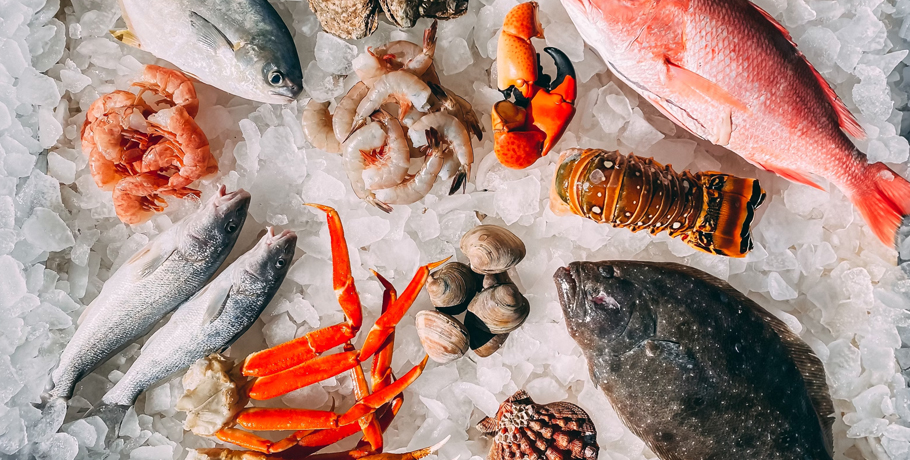 Wszystko, co musisz wiedzieć o cynku Wszystko, co musisz wiedzieć o cynku