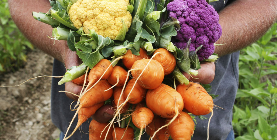 Dlaczego wybraliśmy MegaFood i Innate Response?