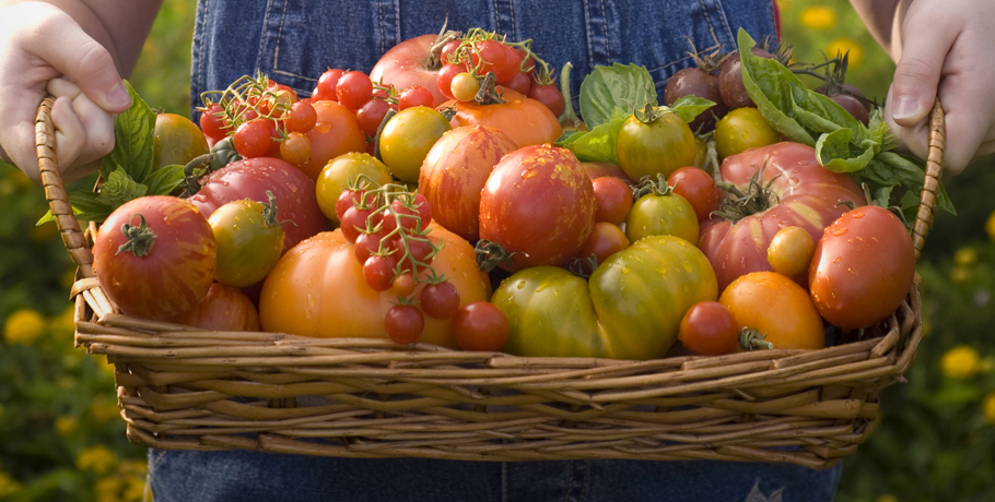 Dodana fruktoza – umiar jest najlepszy Dodana fruktoza – umiar jest najlepszy