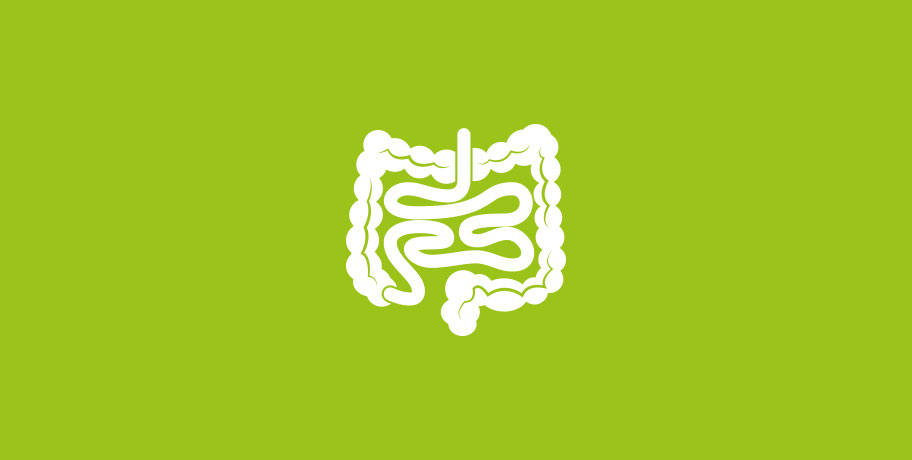 Glutamina – najlepszy przyjaciel jelit