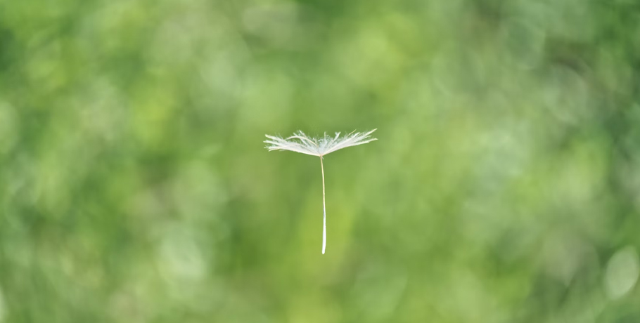 Probiotyki mogą zmniejszać objawy alergii na pyłki