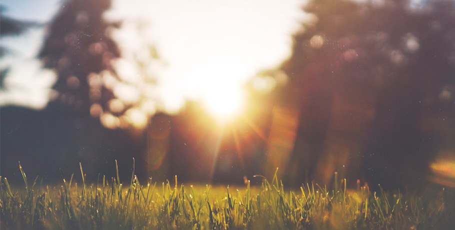 Wszystko o witaminie D