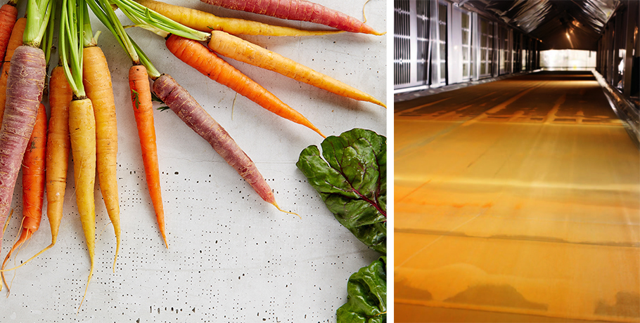 Jak suszy się whole food i superfoods?