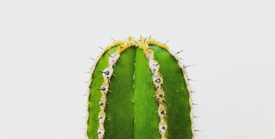 Zakażenie układu moczowego (ZUM), antybiotyki, zdrowie i samoleczenie